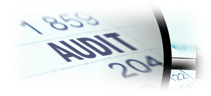 Internal Audit icon